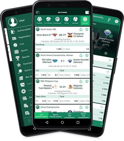 Todo lo que necesitas saber sobre betwinner 23