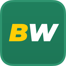 Todo lo que necesitas saber sobre betwinner 23