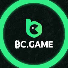Bcgame Application FR  Tout ce que vous devez savoir